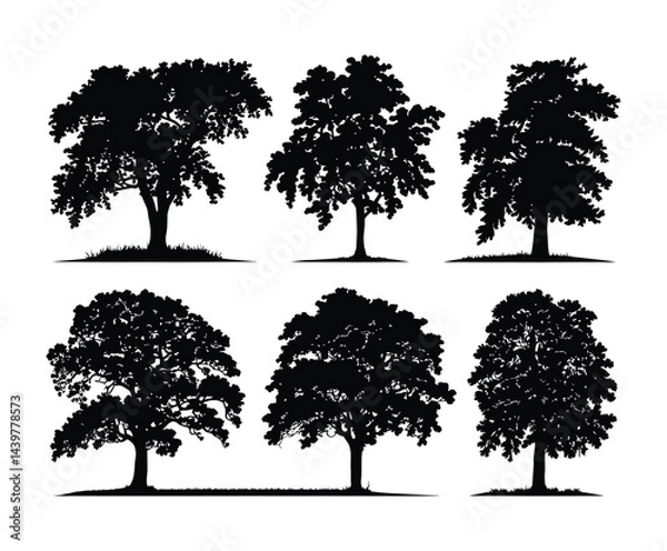 Fototapeta Elm Tree Silhouette Vector Design Isolated Template