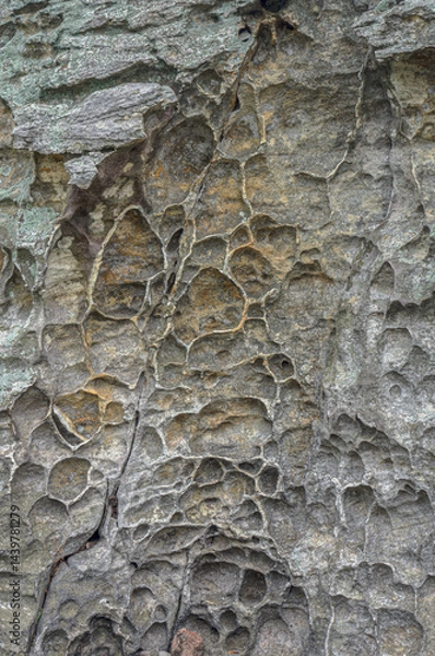 Fototapeta Honeycomb Weathered Rock Surface with Natural Textures and Erosion Patterns. Close-up of a rock face showing honeycomb weathering, natural cavities, and textured erosion patterns in earthy tones.