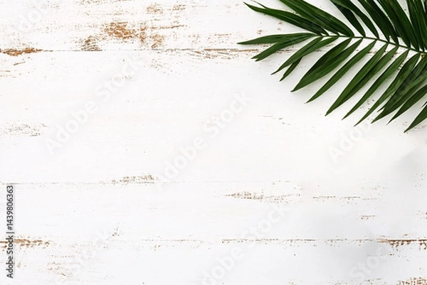 Obraz Minimalist Wooden Background with Green Leaf