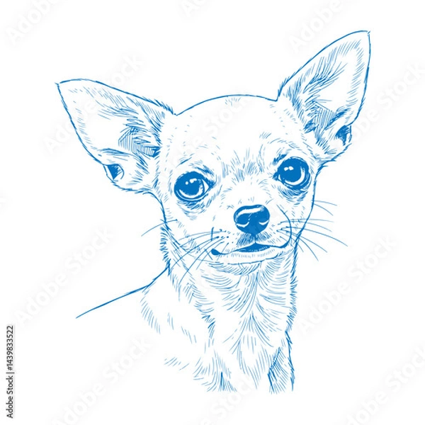 Obraz Detailed blue ink hand drawn illustration of a Chihuahua dog standing in profile view minimalist vintage style artwork ideal for pet merchandise dog logos decor and artistic projects

