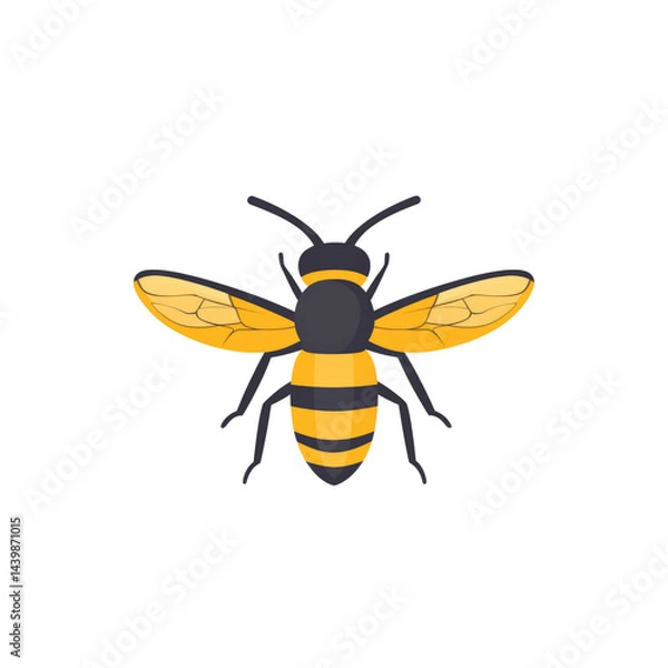 Fototapeta Honeybee Illustration Top View of a Bumblebee with Yellow and Black Stripes