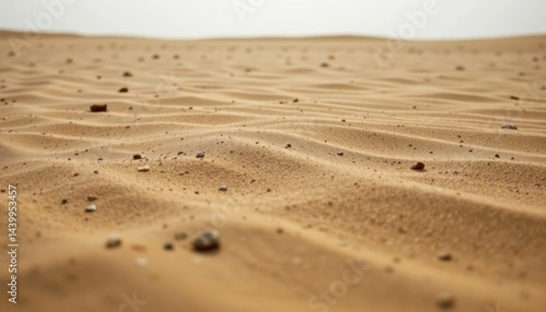 Fototapeta Exploring desert sand dunes remote location nature photography arid environment ground level view serenity and isolation