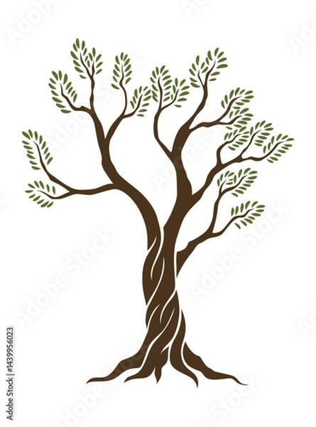Fototapeta Olive trees with branches and leaves for design of packaging, label, logotype or banner. Natural organic stylized olive icon, premium quality sign. Vector illustration