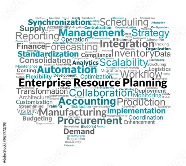 Fototapeta Enterprise Resource Planning Word Cloud. ERP Management Integration Optimization Overview