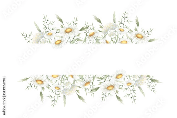 Fototapeta Wildflowers chamomile, yarrow and meadow grasses. Hand drawn isolated watercolor rectangular frame of yellow and white field rustic flowers with copy space for invitations, postcards, certificates.