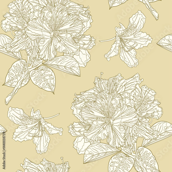 Obraz Seamless texture flower outline twig  rhododendron mountain shrub five  vintage vector illustration editable hand draw