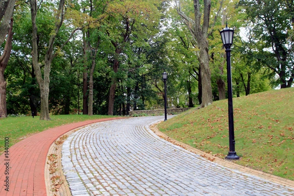 Obraz cobble stone path