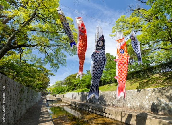 Obraz 兵庫県西宮市 こいのぼりが泳ぐ夙川公園