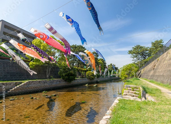 Obraz 兵庫県西宮市 こいのぼりが泳ぐ夙川公園