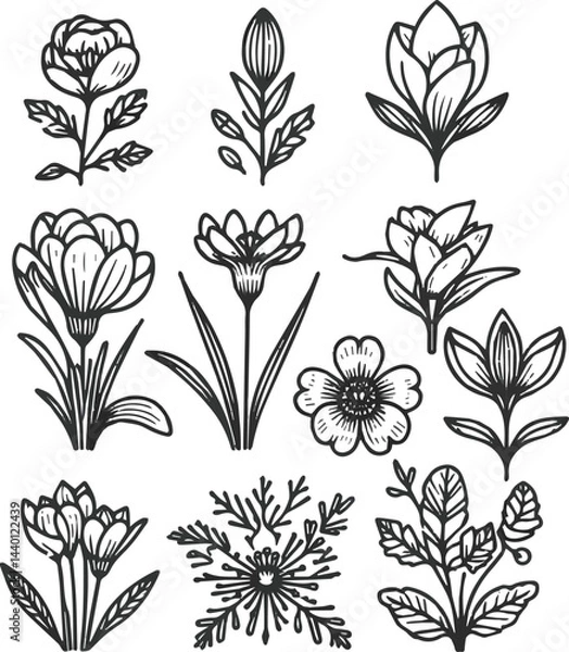 Fototapeta Create a Flowers line icon set. Vector pictograms of magnolia, dandelion, crocus, calla lily, various flower species - azalea, anemone, bird paradise, thin linear illustration vector art.
