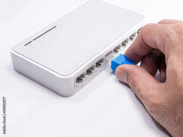 Fototapeta connects router with LAN cable