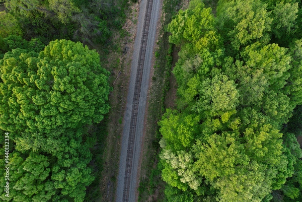 Fototapeta Top down view of railroad tracks surrounded by dense tree growth