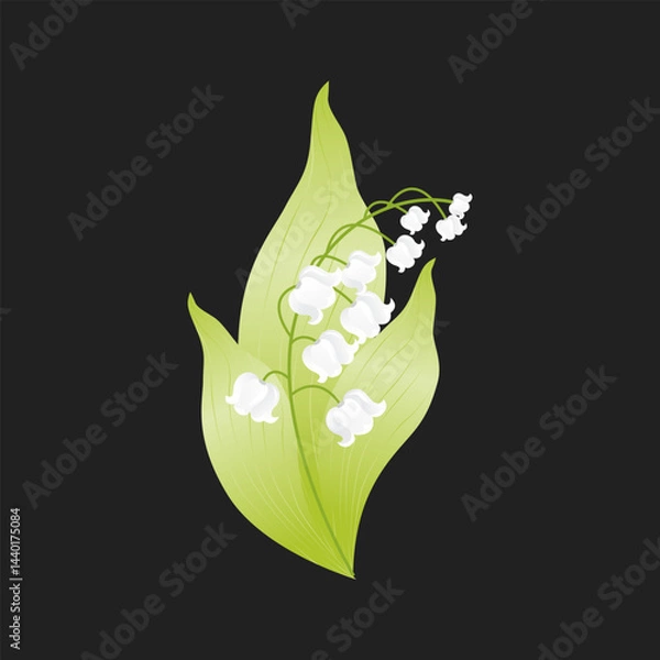 Fototapeta Lily of the valley flower on a black background. A white spring flower. Vector illustration.
