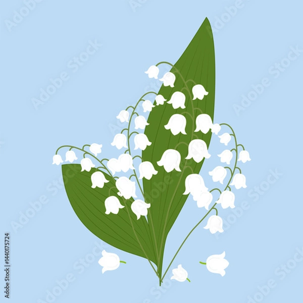 Fototapeta Lily of the valley flowers; ideal for greeting cards, weddings or decoration in a botanical theme. Vector illustration
