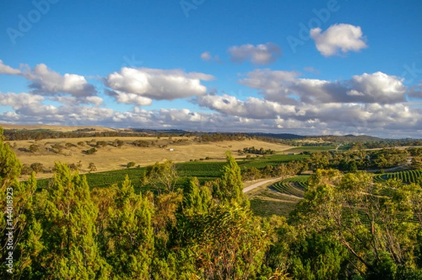 Fototapeta Clare Valley in rural South Australia is a mixture of farming and wine growing properties