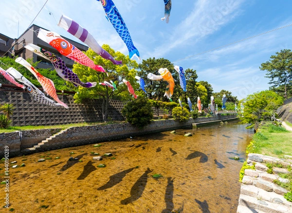 Obraz 兵庫県西宮市 こいのぼりが泳ぐ夙川公園