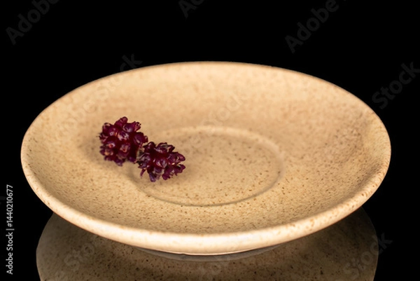 Fototapeta One ceramic saucer, close-up, isolated on black background.