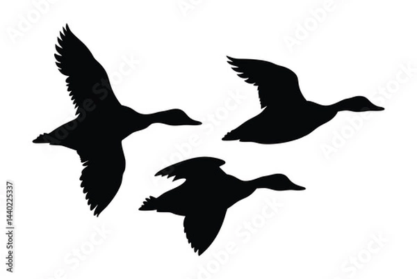 Fototapeta Flock of flying duck silhouette vector, duck bird icon vector art illustration