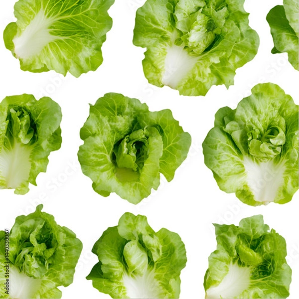 Fototapeta "Fresh Green Lettuce with Water Drops – High-Resolution .  
 salad ingredient photo, fresh lettuce macro, wet lettuce leaf, leafy green vegetable, organic lettuce texture, dewy lettuce leaves, premiu
