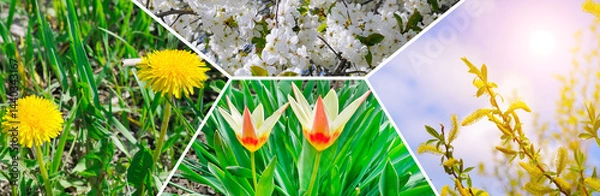 Fototapeta Spring landscape. Colorful collage of flowers and garden. Mosaic pattern.