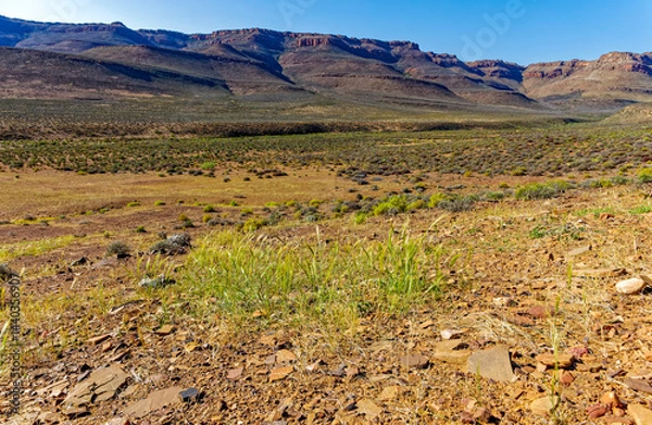 Obraz View across Biedouw valley to mountains