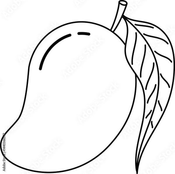 Obraz Line-drawn mango vector illustration. Line-drawn mango transparent PNG. Mango clip art. Mango symbol. Mango doodle. Fruit stock images.