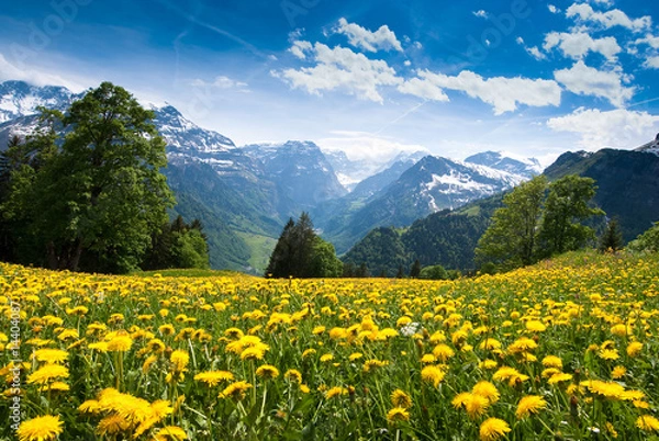 Obraz Wieś na Kaszubach