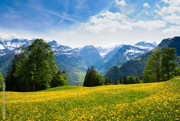 Obraz View from Braunwald