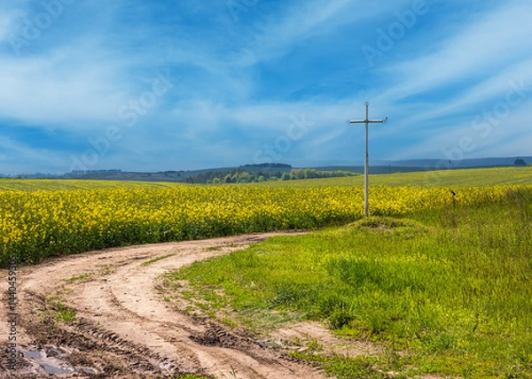 Fototapeta Spring rapeseed yellow blooming fields and religious cross near the pass