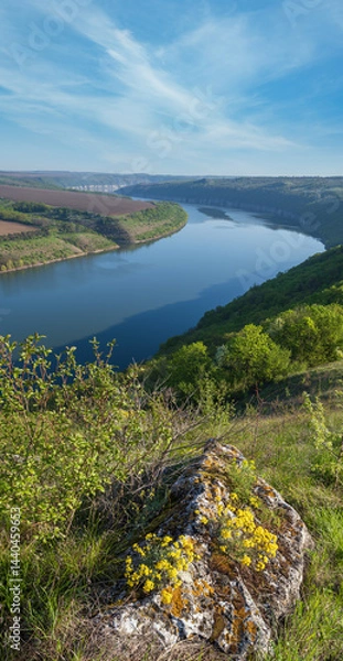 Fototapeta Amazing spring view on the Dnister River Canyon with picturesque rocks, fields, flowers. This place named Shyshkovi Gorby,  Nahoriany, Chernivtsi region, Ukraine.