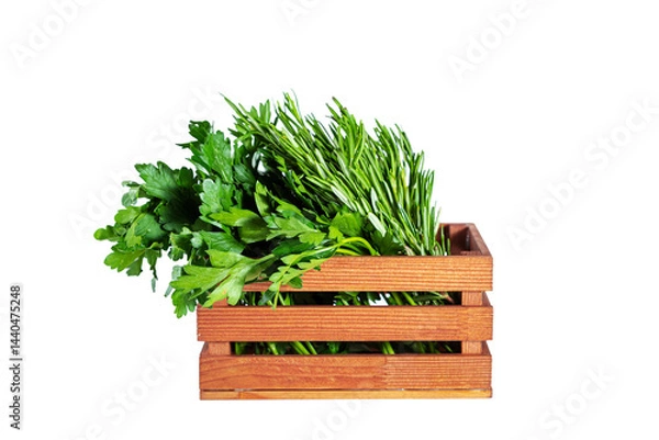 Fototapeta Rosemary and parsley in wooden box. Fresh herbs. Isolated on white background.