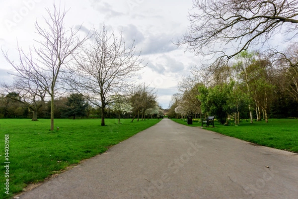 Fototapeta Springtime in a park pathways and blossom lush foliage