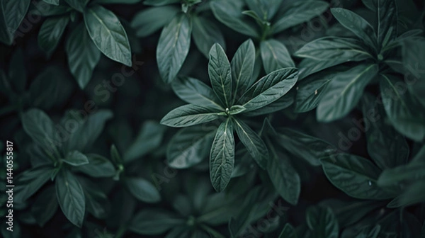 Obraz Subtle green leaf texture with organic variations, ideal for natural wallpapers, backgrounds, banners, and presentations.

