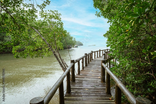 Obraz Wooden footbridge in coast of mangrove forest for trail route. Walking bridge, a wood bridge across jungle, path way at the Mu Ko Chumphon national park, Chumphon  Province,Thailand.