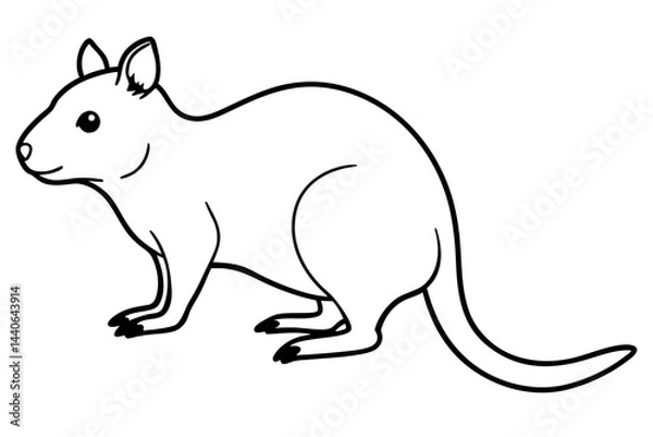 Fototapeta Quokka Sketch Vector