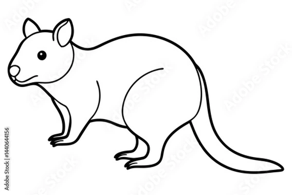 Fototapeta Quokka Sketch Vector