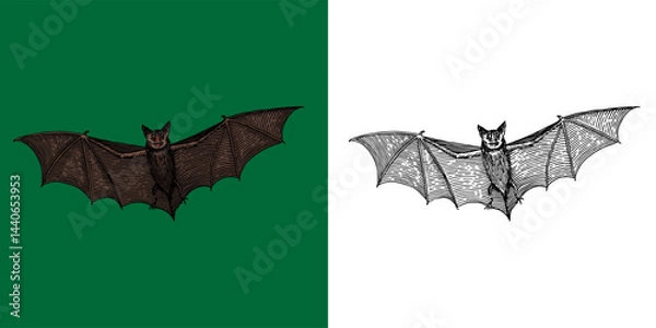 Obraz Scary hand drawn flying bat. Halloween witchcraft and sorcery animal magician and voodoo engraved vampire