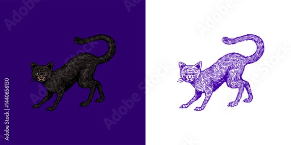 Obraz Black cat in defeating pose for Halloween witchcraft and sorcery things magician and voodoo hand drawn engraved 