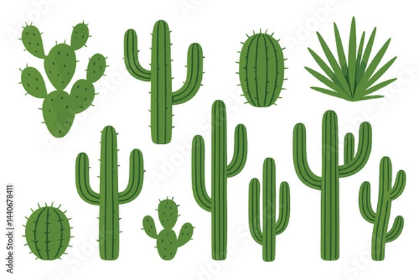Fototapeta Cacti collection showcasing various types and shapes in a desert setting with vibrant green colors