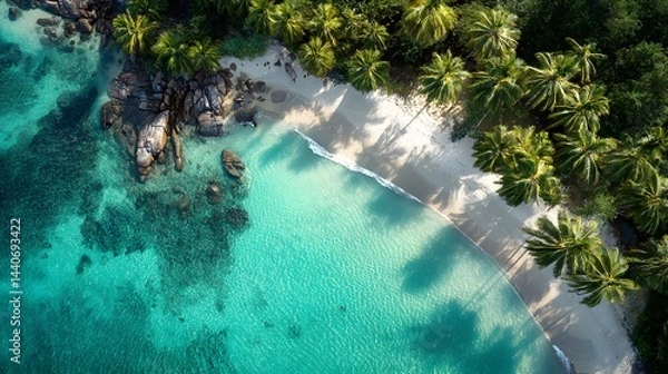 Fototapeta Aerial view of a tropical beach with palm trees and turquoise water on a sunny day vacation spot