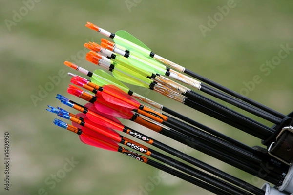 Obraz Target archery arrows in a quiver