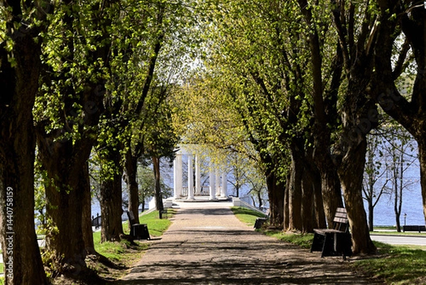 Fototapeta View of A. N. Ostrovsky's gazebo from the alley leading to it on a spring morning