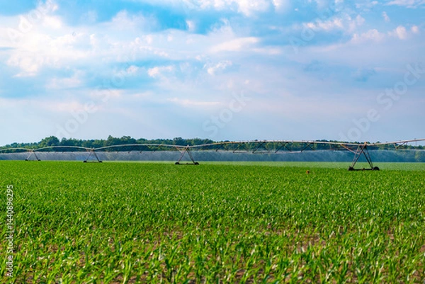Obraz Pivot irrigation system in agricultural farmland. Farming and agriculture. Crop field irrigation. Agricultural irrigation system watering crop field. Hydroponic vegetable farm. Field maintenance