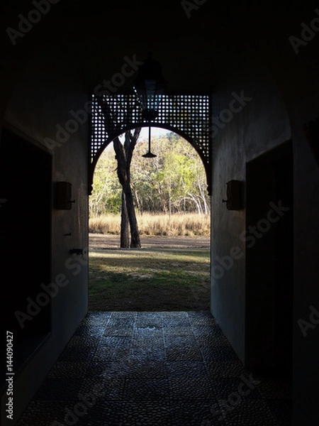 Obraz Shower on nature