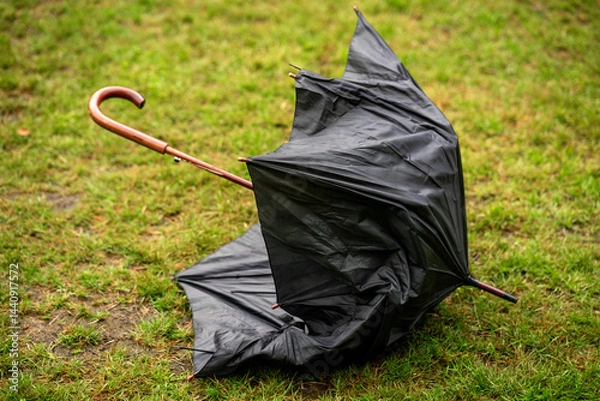 Obraz An umbrella, broken by the wind, lies on the green grass.A hurricane on a summer day.Bad weather.Umbrella failure.
