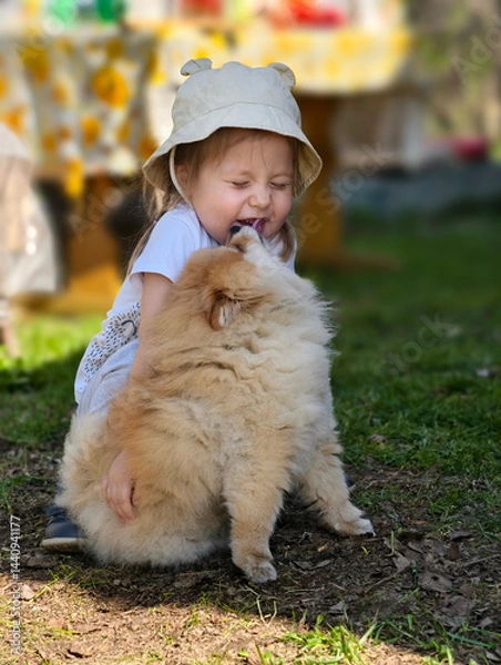 Fototapeta A playful child joyfully embracing a fluffy dog in the beautiful nature outdoors