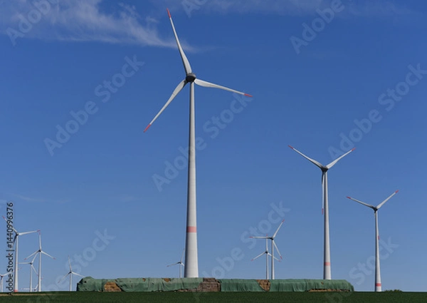 Obraz Wind turbine park, hay bales covered in the foreground as silage, blue sky