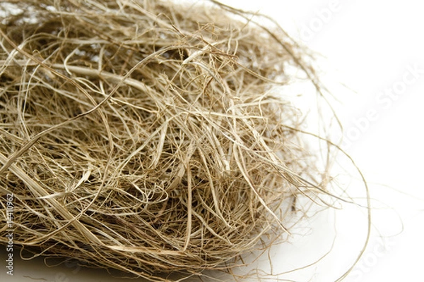 Fototapeta Heu