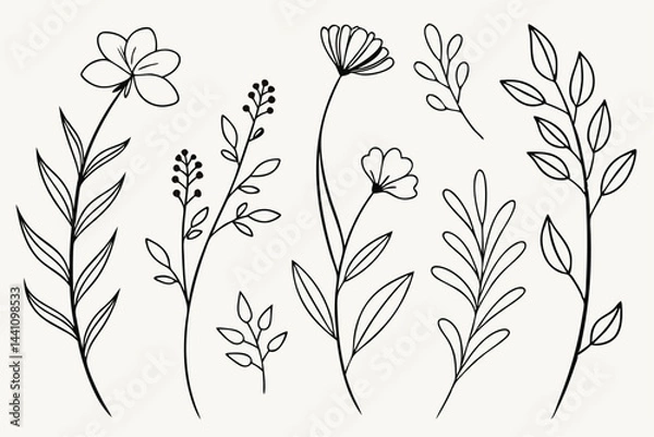 Fototapeta Set of different flowers and brunch from flat editable stroke. Luxury line floral collection for wedding invitation art, design template of save the date card. Botanical vector illustration.
