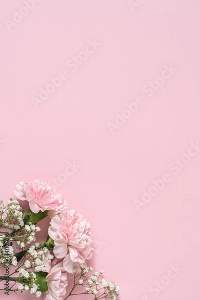 Obraz Bouquet of white gypsophila and pink carnations on a pink background in the corner, copyspace